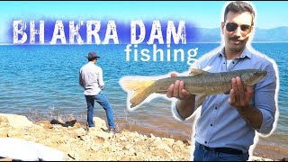 Angling in India  😱Dangerous Fish  A Tour to Bhakra Nangal Dam  Dreamfish productions [upl. by Aynatal803]