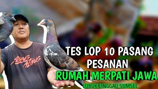 🔴SPILL RABAAN amp TES LOP SEBELUM KIRIM KE LUBUK LINGGAU SUMATRA [upl. by Gruber888]