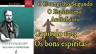 Os bons espíritas  Capítulo 173  Evangelho Segundo o EspiritismoAudiobook [upl. by Burhans]