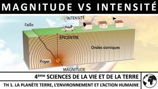 Comparaison entre Magnitude et Intensité – Capsule 4ème SVT [upl. by Milinda24]