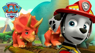 Pieski ratują Krainę Dinozaurów przed wybuchem wulkanu i nie tylko Psi Patrol PAW Patrol po polsku [upl. by Liddie]