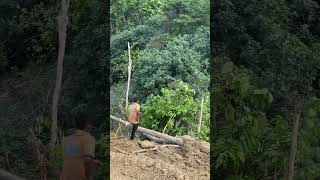 Practical Steps to Establish Palm Terraces in the Hills with the D6R XL Bulldozer [upl. by Jedediah]