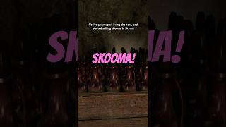 Skyrim has a new skooma man skyrim skooma theelderscrolls videogames [upl. by Eneres]