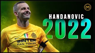 Samir Handanovic 2022 ● The SUPERHERO ● Crazy Saves  HD [upl. by Nnylram501]