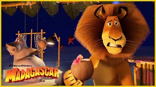 ¡¿Llamas a eso comida  DreamWorks Madagascar en Español Latino [upl. by Naira]