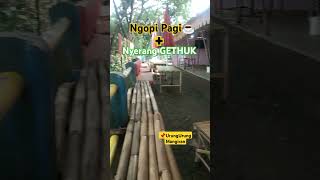 Ngopi Pagi shortvideo shortviral ngopipagi [upl. by Oiratnom]