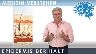 Epidermis der Haut│Dr Dr Damir del Monte│Encephalon MedizinVideos bei Lecturio [upl. by Aliemaj971]