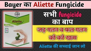 Bayer Aliette Fungicide ।। Aliette Fungicide ।। Aliette । Best fungicide ।। जड़ गलन का ईलाज [upl. by Beatrice]