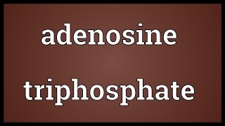 Adenosine triphosphate Meaning [upl. by Danieu]