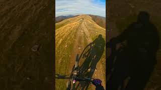 No brakes allowed mtb downhill freeride mountainbike freeridemtb downhillmountainbike [upl. by Litch697]