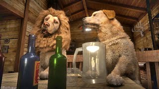 Rufus Throws A Crazy Party At Beechers Hope Without Johns Permission  Red Dead Redemption 2 [upl. by Anirehc]