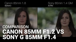 Comparison Canon 85mm f12 VS Sony G Master 85mm f14 [upl. by Dorolice530]