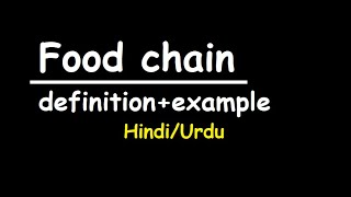 food chain in urdu  in Hindi what is food chaineasy definition [upl. by Yemarej]