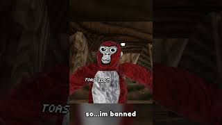 IM BALD foryou gorillatag vr gtag gt oculus viral banned mods modmenu tag monke meme [upl. by Eileek722]