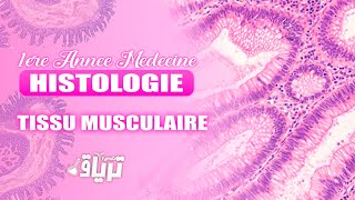 HISTOLOGIE 1ère année  TMC CAMP  TISSU MUSCULAIRE  By Chifa [upl. by Bolan]