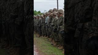 MCRD Parris Island Kilo Company Conducts Rappel Training [upl. by Idnal]