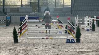 Aida Fox Aachen 12 yo mare by Arpeggio x Zeus placed up to 145 [upl. by Nellak]