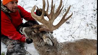 Saskatchewan Whitetail Hunt Dream Bucks 200quot Year One BIG GAME FILMS [upl. by Liban]