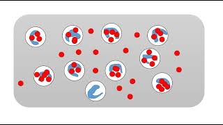 Phagocytic index and phagocytic number calculation [upl. by Iong]