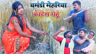 घमंडी मेहरिया काटेस गेहूं umesh nishad comedy [upl. by Oag]