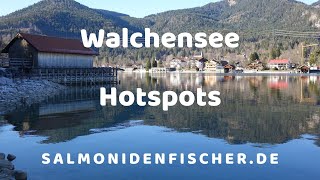 Walchensee  Seeforellen Hotspots  Angeln  Fischen  Fishing  Salmoniden [upl. by Yentrac]