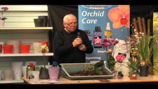 Talk from orchid expert Peter White How to repot an orchid [upl. by Schaffer]