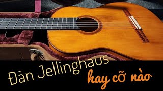 Đàn guitar Jellinghaus HAY CỠ NÀO  xem clip thấy nhói tim [upl. by Arondell]