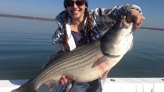 Trophy Lake Texoma Striper Slap in the Face [upl. by Ahsieket]