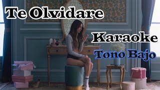 TINI  Te Olvidare Karaoke Tono Bajo [upl. by Nalda]