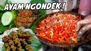 JUALAN AYAM NGONDEK GEGARA ISENG TERNYATA MODALNYA 5 JUTA [upl. by Ladnyc859]