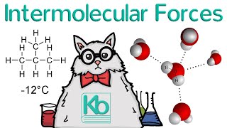 What are Intermolecular Forces [upl. by Kostival466]