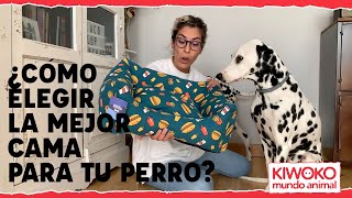 🐶¿Cuál es la mejor cama para mi perro [upl. by Eoj]