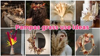 Pampas Grass Use Ideas 2024Diy Pampas GrassWedding Decor Ideas Room Decor Ideas 2024 [upl. by Erline]