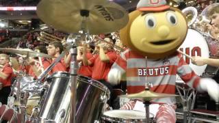 Brutus Plays Hang On Sloopy And Knocks Over Cymbal [upl. by Laikeze]