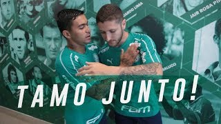 PRIMEIROS PASSOS DE ZÉ RAFAEL NO PALMEIRAS [upl. by Sheepshanks]