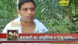 श्वास रोग अस्थमा व कफ Asthma Cough में कण्टकारी का आयुर्वेदिक लाभ  Acharya Balkrishna [upl. by Gnot600]