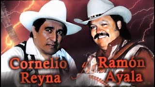 LOS RELAMPAGOS DEL NORTE REY POBRE KARAOKE [upl. by Marienthal450]