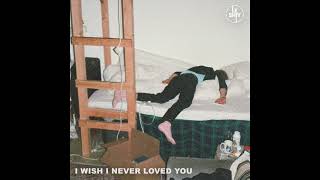 Le Shiv  I Wish I Never Loved You official audio [upl. by Airdnas756]