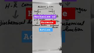 Mechanism of Hormone Action Biochemistry hormones mechanismofaction biochemistrymbbs1styear [upl. by Naahsar]