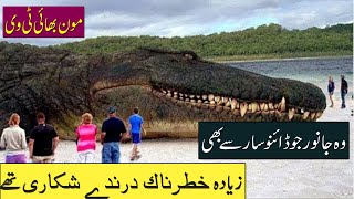 Animals That Were Scarier Than Dinosaurs  Ancient Animal  urduhindi  Moon Bhai TV [upl. by Dynah806]