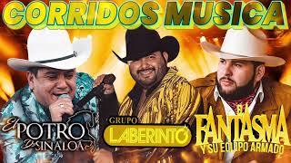 Grupo Laberinto Potro sinaloa El Fantasma  Corridos Musica [upl. by Zorana]