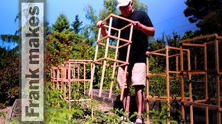 Tomato Trellises [upl. by Ahseiyk73]