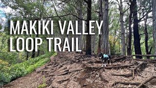 Hiking the Makiki Valley Loop trail family friendly hike Oahu Hawaii [upl. by Atinwahs146]