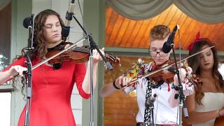 Strictly Strings  Jones House Concert on the Lawn  part 1 [upl. by Akerdnuhs]