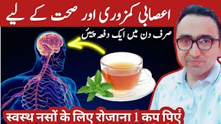 Top 7 Herbs to Repair Nerves Instantly  How To Use Them For Neuropathy [upl. by Inaj]