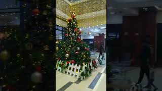 Gopalan mall banglore [upl. by Llennahc]