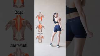 📌4 STRONG BACK EXERCISES with dumbbells [upl. by Allissa]