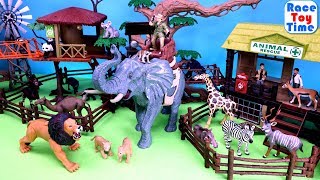 Toy Safari Wild Animals in the Jungle  Fun Toys For Kids [upl. by Raines]