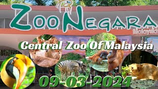 Zoo Negara  National Zoo Of Malaysia [upl. by Joceline356]