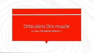 Orbicularis Oris  Simple and Easy [upl. by Etirugram]